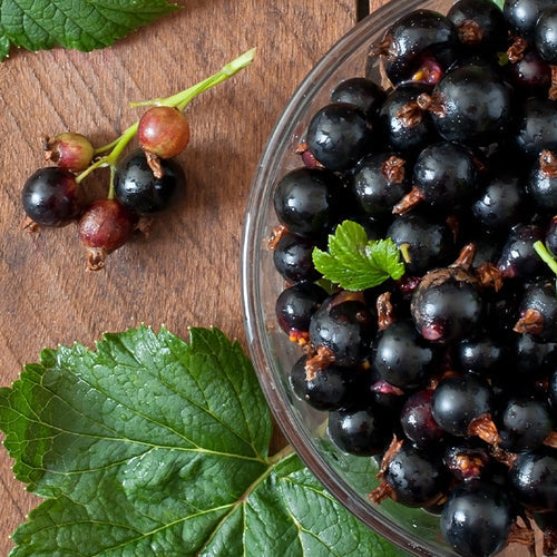 cassis bio longue conservation