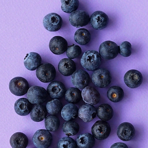 myrtilles bio longue conservation