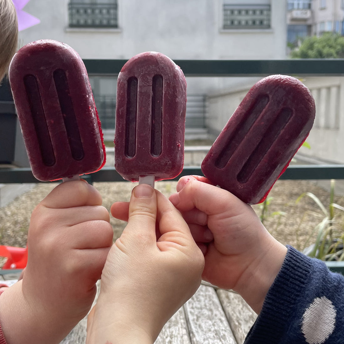 Glaces aux fruits rouges bio lyophilisés 