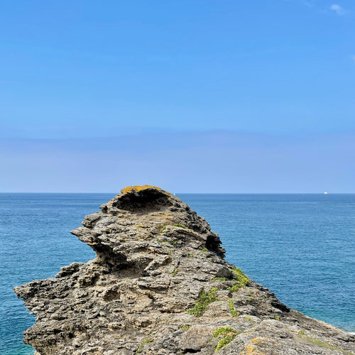 Notre Top 5 des meilleurs fruits pour vos sorties en pleine nature