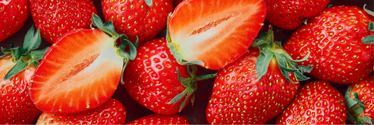 fraises bio longue conservation