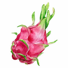 FRUIT DU DRAGON LYOPHILISE EN CUBES