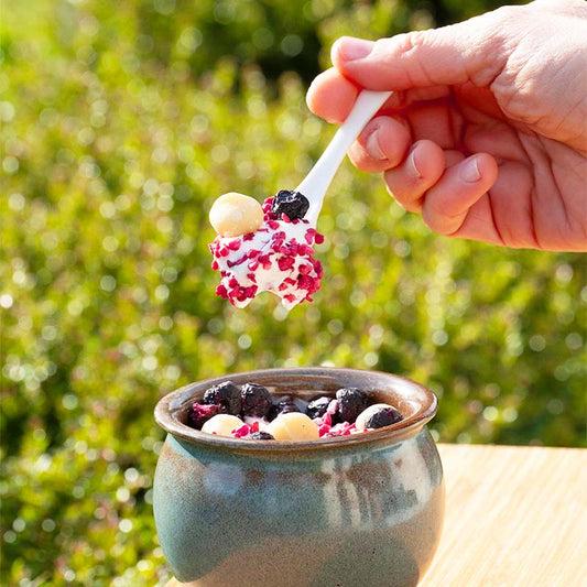 Framboise lyophilisée en brisure - 100g