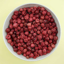 Groseille lyophilisée bio - 100g