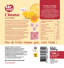 ANANAS LYOPHILISÉ EN MORCEAUX