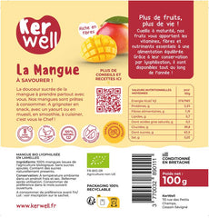 Mangue lyophilisée bio - 100g