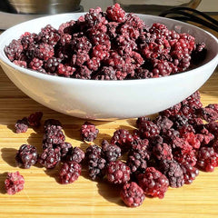 MÛRE LYOPHILISÉE 500g
