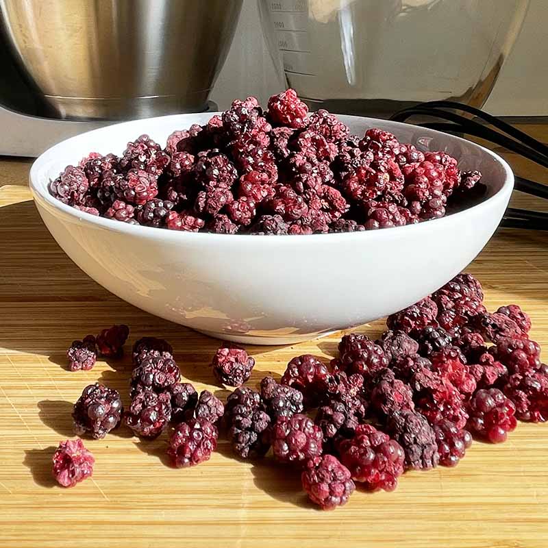 Mûre lyophilisée - 100g
