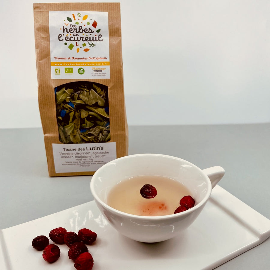 Tisane Bio des Lutins